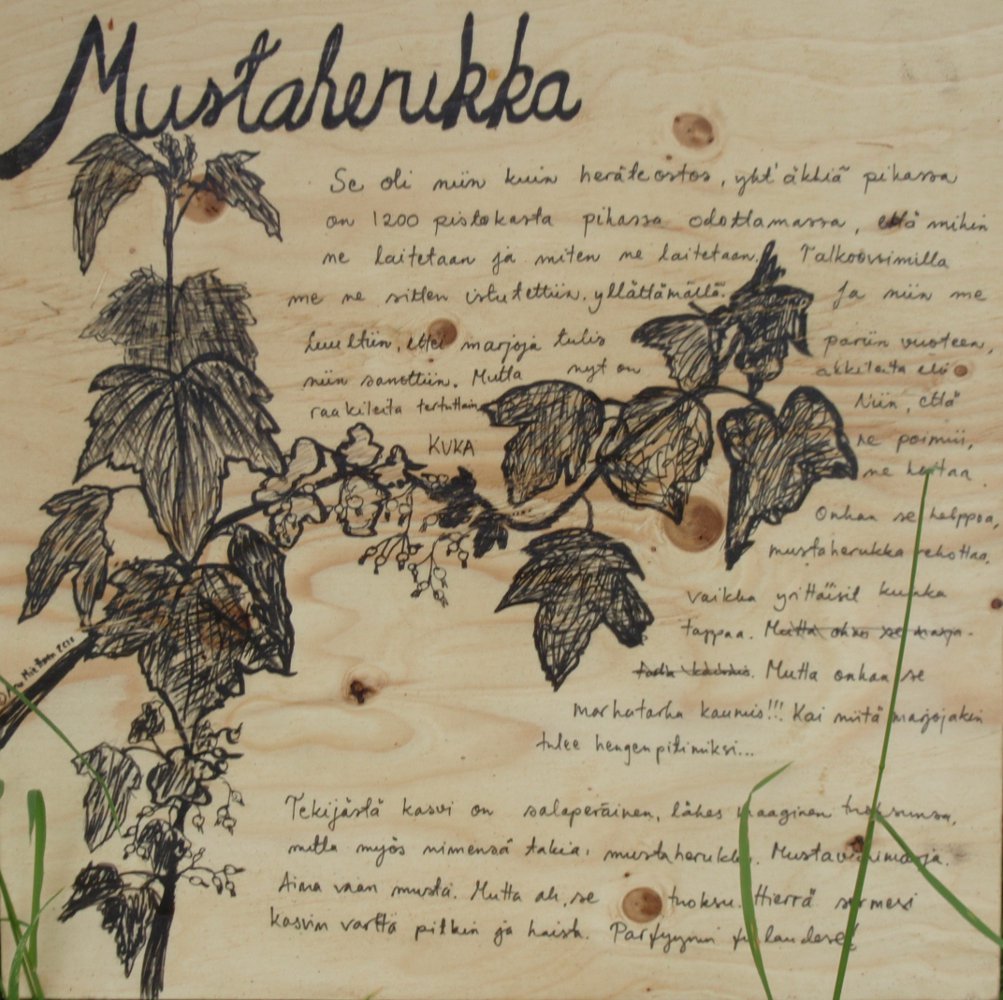 Tarinakukat, 2010. Anu Miettinen.