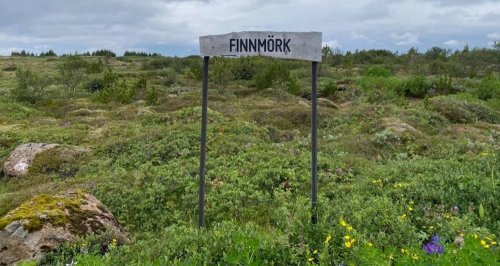 <br />
Finnmörk, in Heidmörk, Iceland. 8/2021<br />
