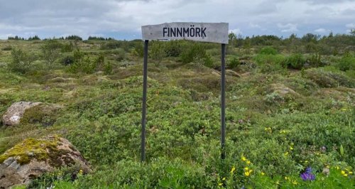 <br />
Finnmörk, in Heidmörk, Iceland. 8/2021<br />
